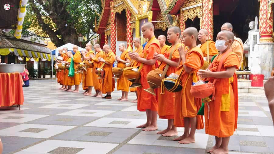 Chiang Mai: Elephant Sanctuary & Suthep Temple Sunrise View - Price and Logistics: Why $78 Feels Fair for an 11-Hour Day