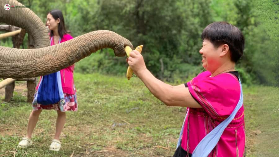 Chiang Mai: Elephant Sanctuary & Suthep Temple Sunrise View - What to Bring, What to Wear, and What Not to Do