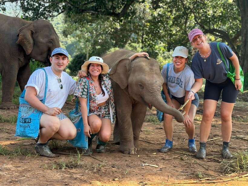 Chiang Mai: Elephant Sanctuary, Waterfall & Bamboo Rafting - The full 9-hour flow: pickup, elephants, waterfalls, and Mae Wang rafting
