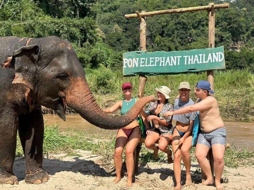 Chiang Mai: Elephant Sanctuary, Waterfall & Bamboo Rafting - Pon Elephant Thailand: what ethical elephant time looks like