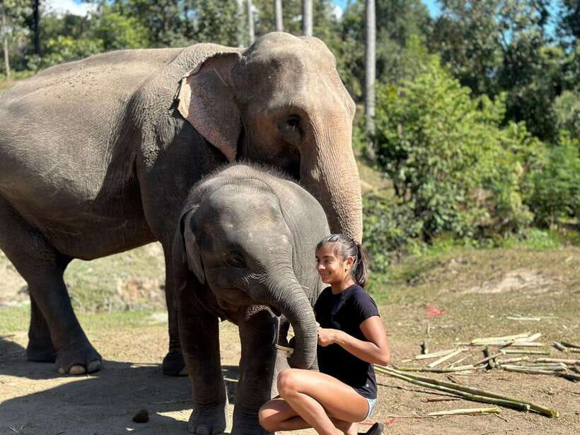 Chiang Mai: Elephant Sanctuary, Waterfall & Bamboo Rafting - Bamboo rafting on the Mae Wang River: light rapids, big-relief vibes