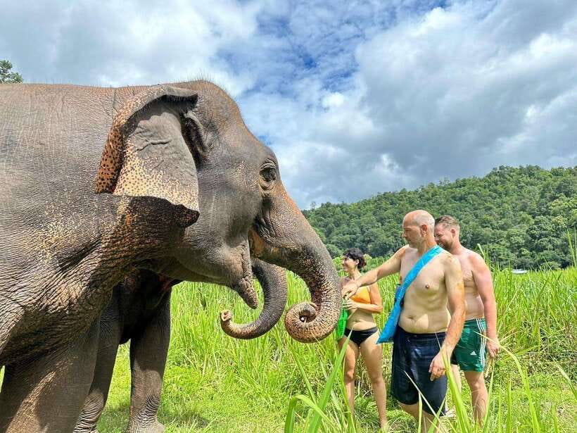 Chiang Mai: Elephant Sanctuary, Waterfall & Bamboo Rafting - Guide impact: why the day often feels smooth and human