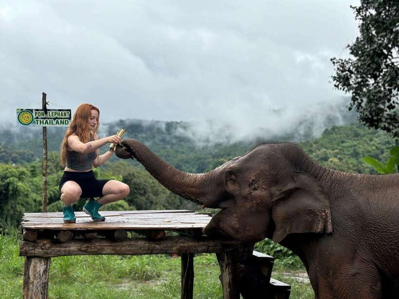 Chiang Mai: Elephant Sanctuary, Waterfall & Bamboo Rafting - Weather swaps and how to think about contingency planning
