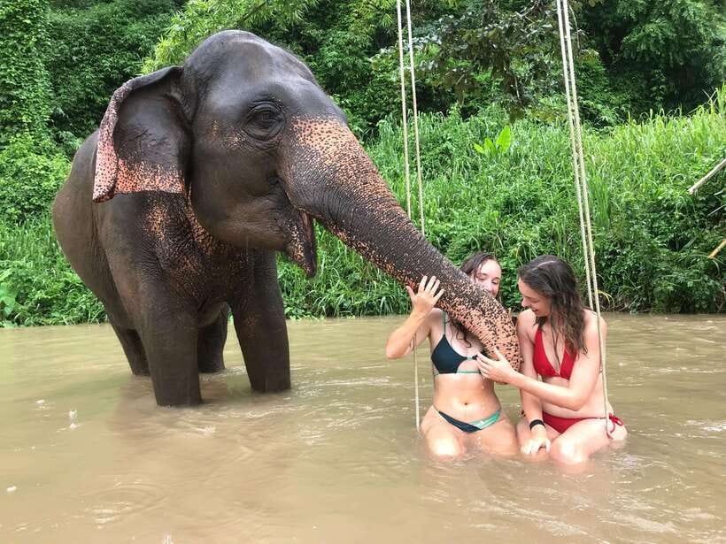 Chiang Mai: Elephant Sanctuary & Waterfall Group Tour - Key things I’d highlight before you go