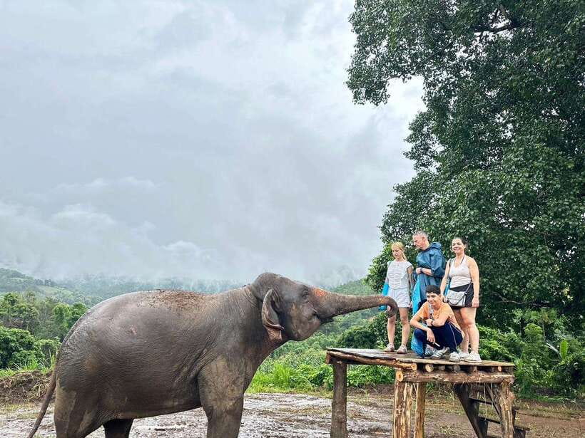 Chiang Mai: Elephant Sanctuary & Waterfall Group Tour - FAQ