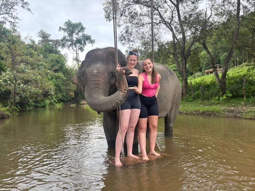Chiang Mai: Elephant Sanctuary & Waterfall Group Tour - Why Pon Elephant Thailand Feels Like Real Sanctuary Care