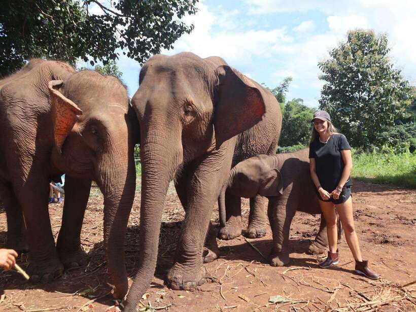 Chiang Mai: Elephant Sanctuary & Waterfall Group Tour - Mae Wang Waterfall: Jungle Trek Energy and the Swimming Reality