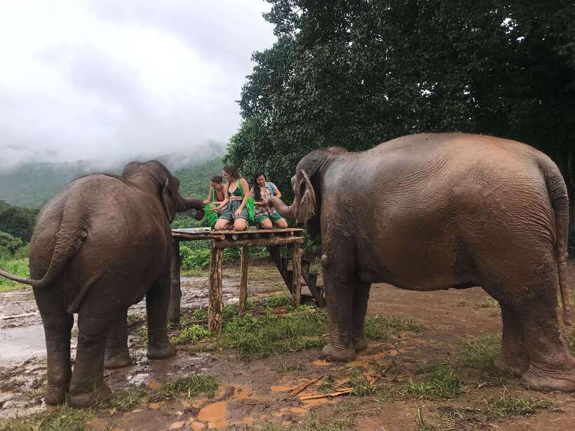 Chiang Mai: Elephant Sanctuary & Waterfall Group Tour - Lunch Break and Thai Sweet Notes That Keep You Refueled