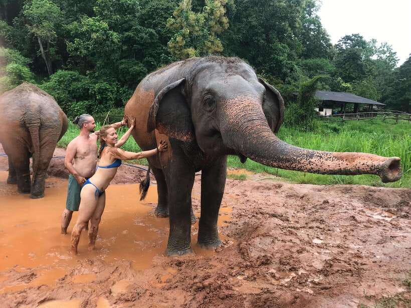 Chiang Mai: Elephant Sanctuary & Waterfall Group Tour - Price and Value: What $50 Buys You in Chiang Mai