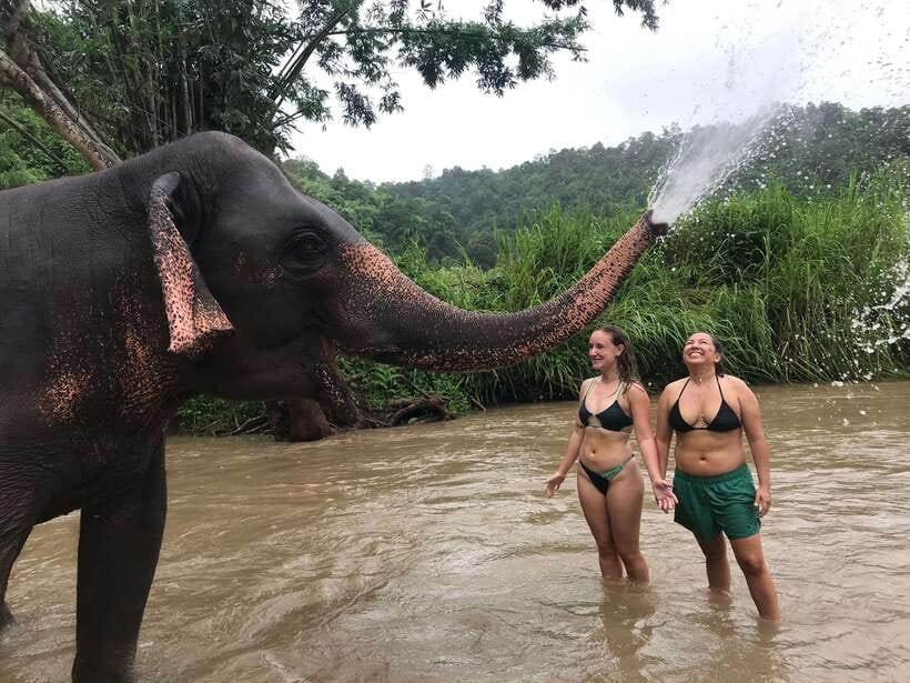 Chiang Mai: Elephant Sanctuary & Waterfall Group Tour - Safety, Ethics, and the Fitness Filter You Should Not Ignore