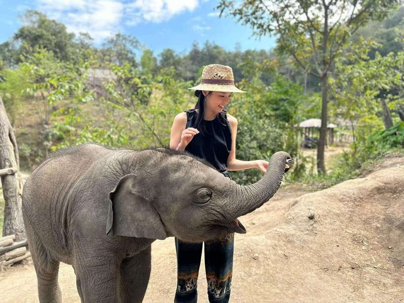 Chiang Mai: Elephant Sanctuary & Waterfall Group Tour - Should you book the Chiang Mai Elephant Sanctuary and Waterfall Tour?