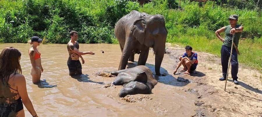 Chiang Mai Elephant Village Life: Long Neck & Bamboo Rafting - What Makes This Chiang Mai Elephant Day Feel Different