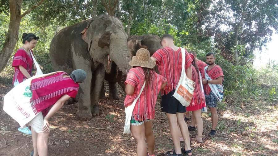 Chiang Mai Elephant Village Life: Long Neck & Bamboo Rafting - Bamboo Rafting on a Traditional Raft: The Calm Finale
