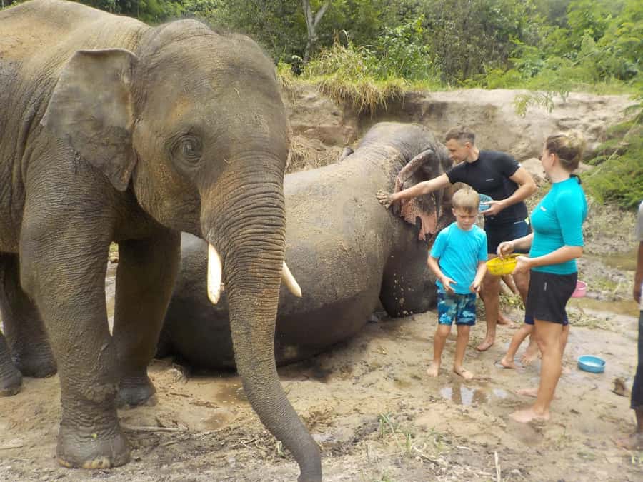 Chiang Mai Elephant Village Life: Long Neck & Bamboo Rafting - What the Included Lunch and Drinks Do for Your Energy
