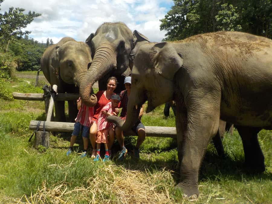 Chiang Mai Elephant Village Life: Long Neck & Bamboo Rafting - Comfort Tips That Make the Day Easier