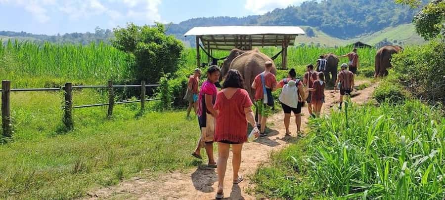 Chiang Mai Elephant Village Life: Long Neck & Bamboo Rafting - Getting There From Chiang Mai Old City: Van, 4x4, and Time on the Road