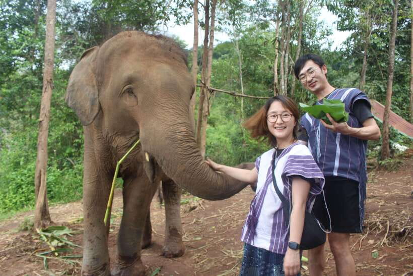 CHIANG MAI ELEPHANT VILLAGE SANCTUARY JUNGLE ADVENTURE - Morning Pickup and the Road Out of City Noise
