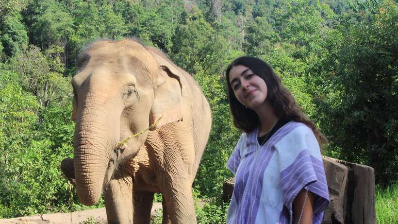 CHIANG MAI ELEPHANT VILLAGE SANCTUARY JUNGLE ADVENTURE - Price and Value: What You’re Really Paying For at $48