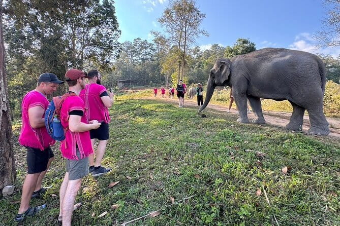 Chiang Mai Elephant Watch and Wang River Rafting - Quick Hits Before You Go