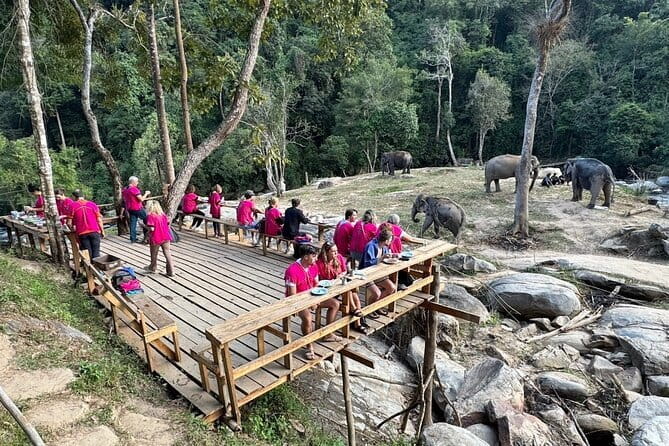 Chiang Mai Elephant Watch and Wang River Rafting - Price and Value: What $65.10 Buys You in Real Terms