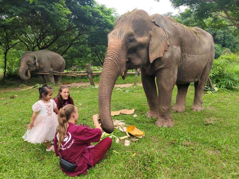 Chiang Mai: Elephants, Sticky Waterfalls, Market and Temple - Market First, So Chiang Mai Makes Sense Later