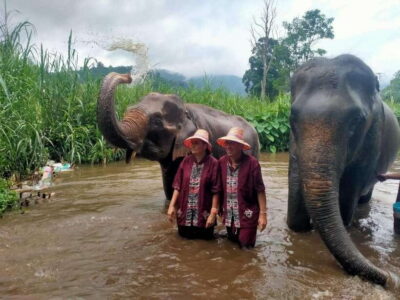 Elephants, Sticky Waterfalls, Market and Temple