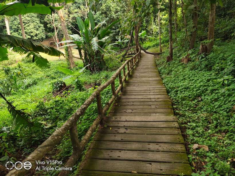 Chiang Mai: Elephants, Sticky Waterfalls, Market and Temple - Practical Tips That Save Your Day