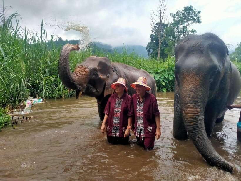 Chiang Mai: Elephants, Sticky Waterfalls, Market and Temple - Bua Thong Sticky Waterfalls, Wear the Right Shoes and Expect to Get Wet