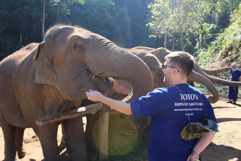 Chiang Mai: Elephants, Waterfall, and White Water Rafting - Key things to know before you go