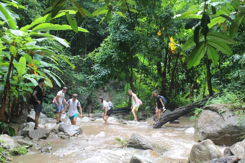 Chiang Mai: Elephants, Waterfall, and White Water Rafting - White-Water Rafting on the Mae Taeng River: Safety First, Fun Second