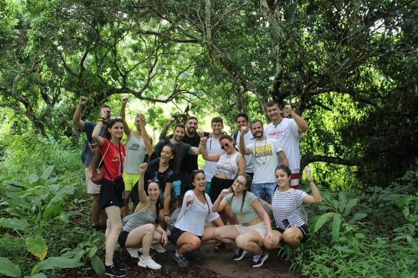Chiang Mai: Elephants, Waterfall, and White Water Rafting - Comfort Level, Fitness, and Suitability: Who This Trip Fits Best