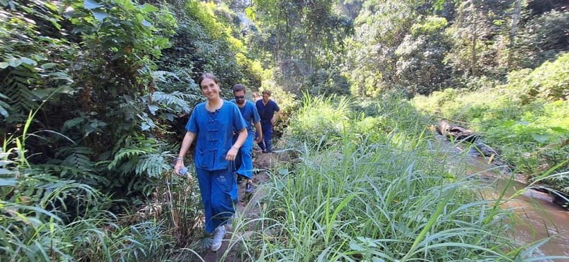 Chiang Mai: Elephants, Waterfall, and White Water Rafting - Ethical Elephant Sanctuary Time in the Mae Taeng Jungle Forests