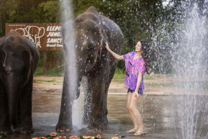 Chiang Mai: Ethical Elephant Feeding & Shower Program - Getting set up: arrival, briefing, and safety rules that matter