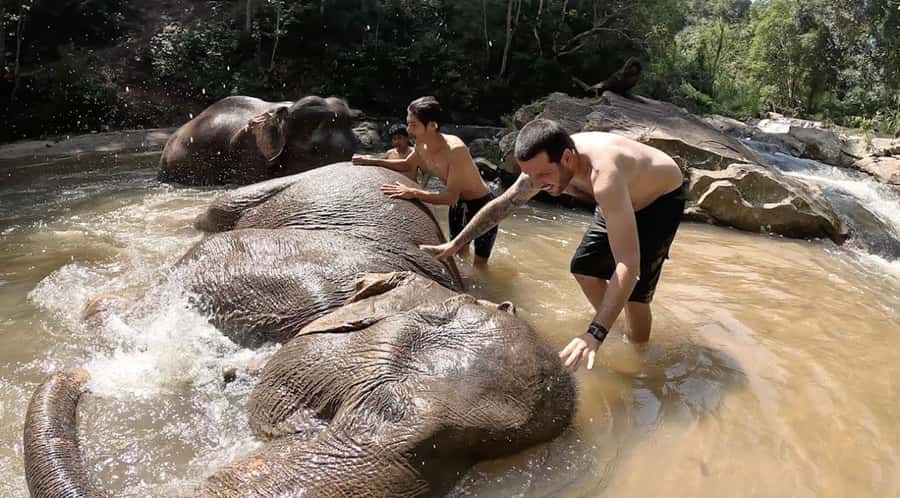 Chiang Mai : Ethical Elephant Sanctuary and ATV Adventure - A quick reality check on ethical elephant sanctuaries in Chiang Mai