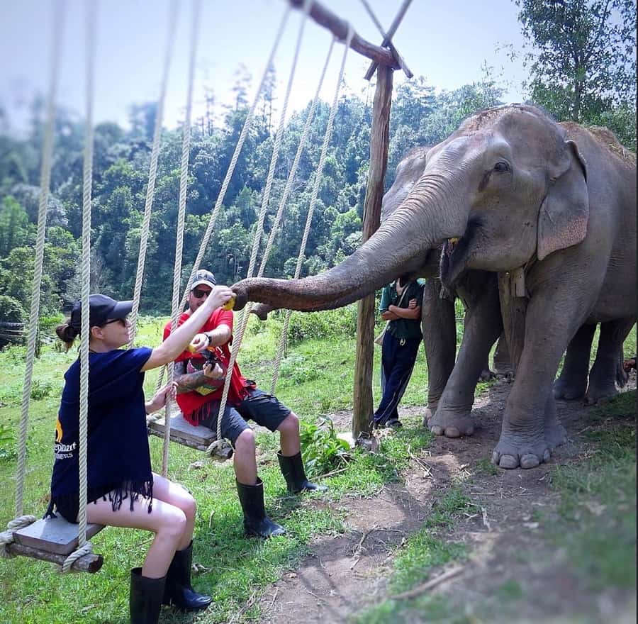 Chiang Mai : Ethical Elephant Sanctuary and ATV Adventure - Time with elephants, photos, and what can feel short