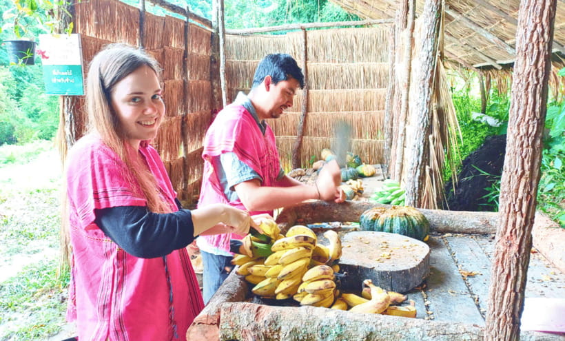 Chiang Mai: Ethical Half Day Elephant Sanctuary & Waterfall - What This Ethical Elephant Day Really Feels Like