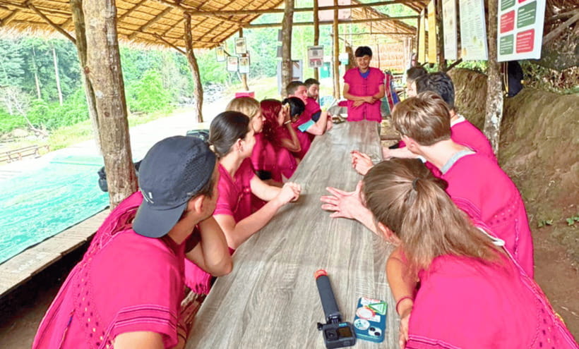Chiang Mai: Ethical Half Day Elephant Sanctuary & Waterfall - Elephant Observation With Joy Elephant Sanctuary: Feeding, Rules, and Respect