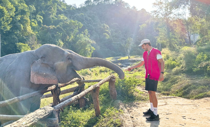 Chiang Mai: Ethical Half Day Elephant Sanctuary & Waterfall - Should You Book This Joy Elephant Sanctuary Half-Day Experience?