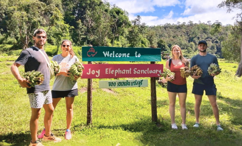 Chiang Mai: Ethical Half Day Elephant Sanctuary & Waterfall - Getting to Mae Wang: The Ride Out of Chiang Mai Old City Matters