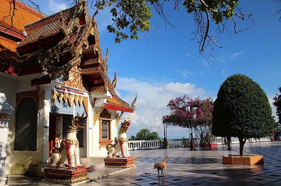 Chiang Mai Evening Tour WAT UMONG and DOI SUTHEP Temples - What to Bring: Shoes, Cash, Camera, and Comfort Tips