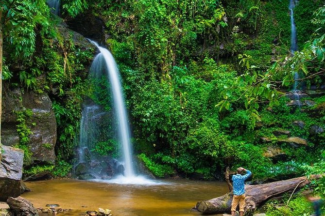 Chiang Mai - Exclusive Trek to Doi Suthep - Starting at Mon Tha Than Waterfall: What to Expect on Arrival
