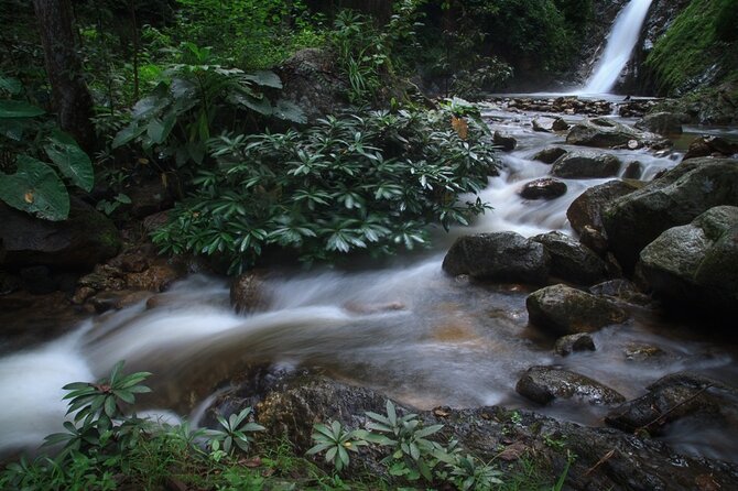 Chiang Mai Exotic Excursion Unseen Miracle of Faith To Pupadang Lampang Temple - How the timing and transport shape your day