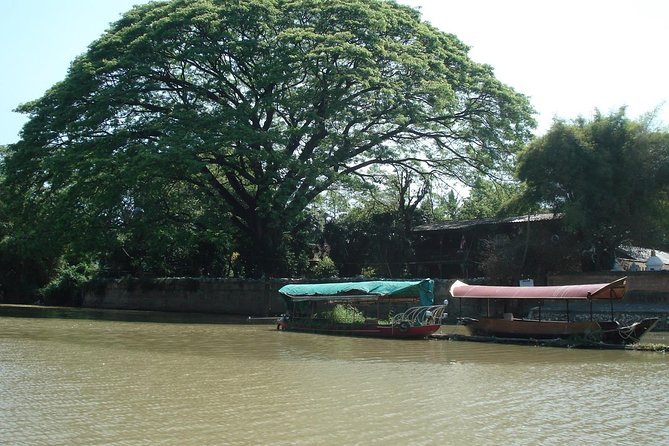 Chiang Mai Farm Life & Khao Soy Tasting on a Half-Day Boat Tour - Farm life, herbs, and jasmine rice: what the garden stop actually feels like