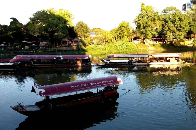 Chiang Mai Farm Life & Khao Soy Tasting on a Half-Day Boat Tour - Who should book this Chiang Mai boat and khao soi experience?
