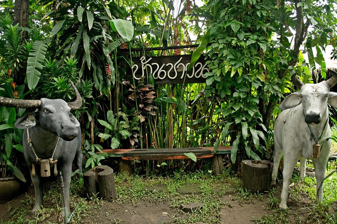 Chiang Mai Farm Life & Khao Soy Tasting on a Half-Day Boat Tour - The 45-minute boat ride: what to watch for beyond the scenery