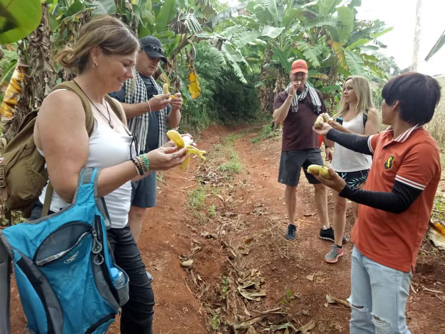 Chiang Mai: Full Day 5 Hill Tribes Tour - Palaung Village: crafts, clothing, and souvenir time