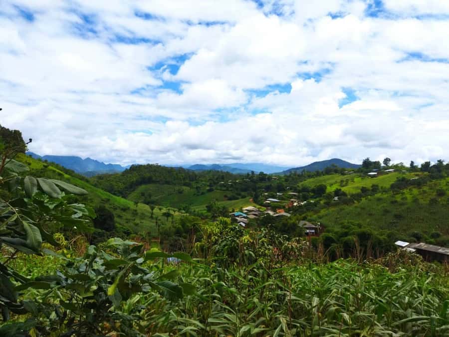 Chiang Mai: Full Day 5 Hill Tribes Tour - A one-day hill tribes circuit that actually moves
