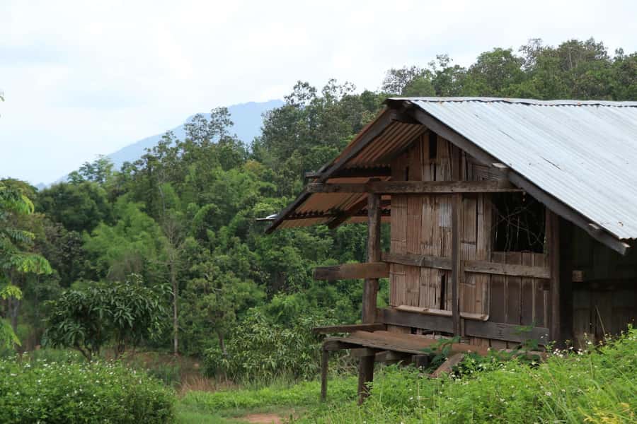 Chiang Mai: Full Day 5 Hill Tribes Tour - Karen Village: scenery, forest air, and a slower pace