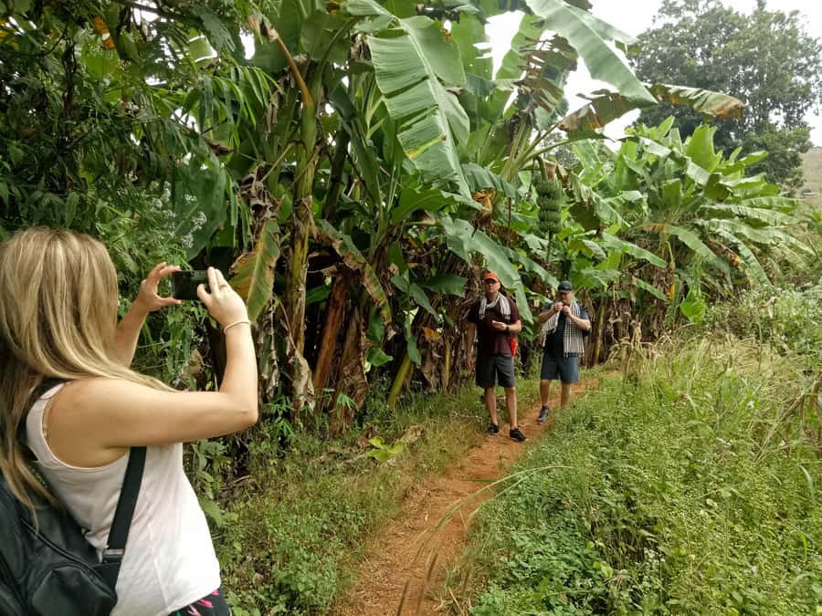 Chiang Mai: Full Day 5 Hill Tribes Tour - Akha Village trek: the hours that give the tour its heart