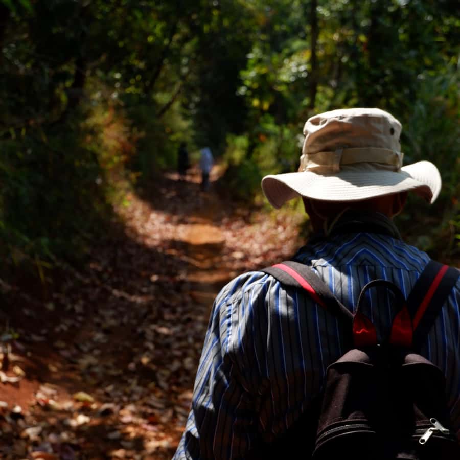 Chiang Mai: Full Day 5 Hill Tribes Tour - Price and logistics: is $96 good value?